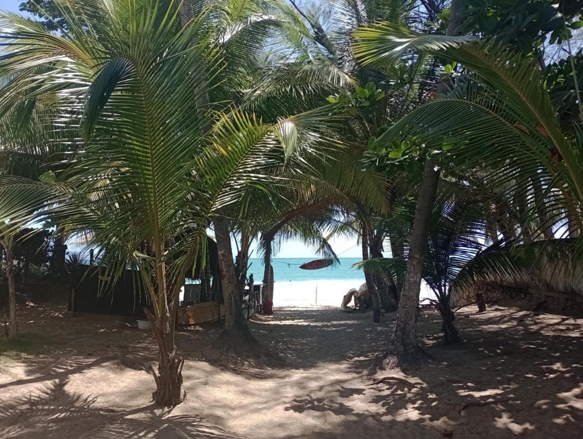 Porto De Galinhas Lindo Ap 2 Q 2 Banh 40 M Da Praiaアパートメント エクステリア 写真